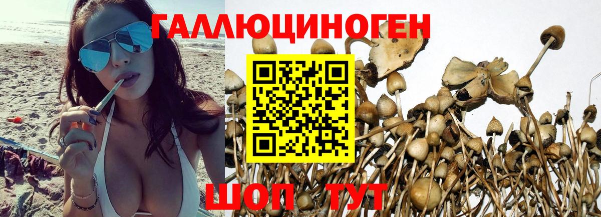Кокаин  Саяногорск  МАРИХУАНА  Мефедрон кристаллы  ЭКСТАЗИ  Гашиш  Магазины продажи наркотиков  Вход с VPN 