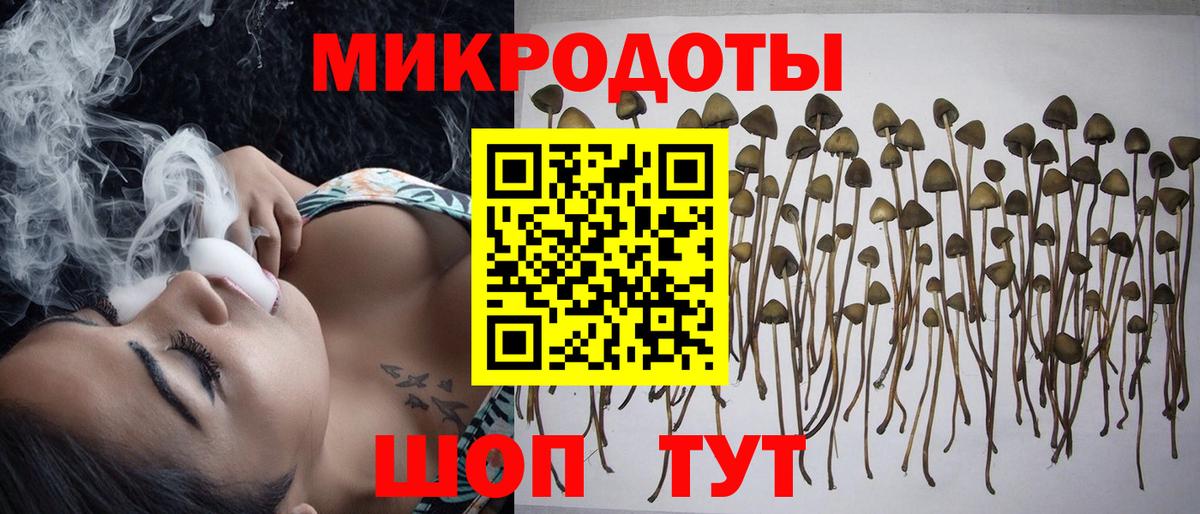 Псилоцибиновые грибы ЛСД  где можно купить   Саяногорск  Вход с VPN  Псилоцибиновые грибы Psilocybine cubensis 
