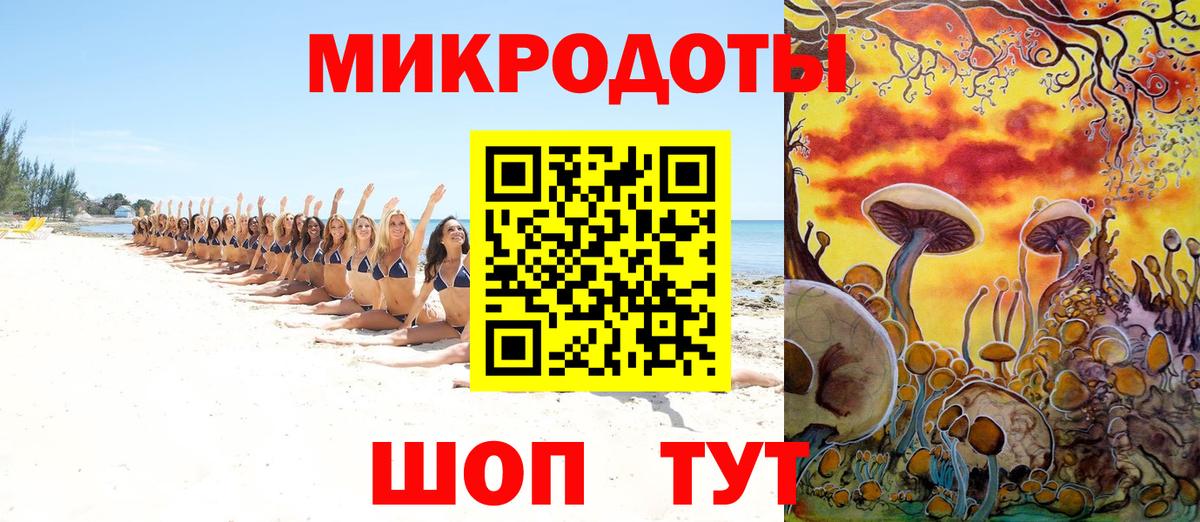 Псилоцибиновые грибы Psilocybine cubensis Саяногорск